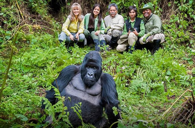 Go Gorilla Trekking in Rwanda