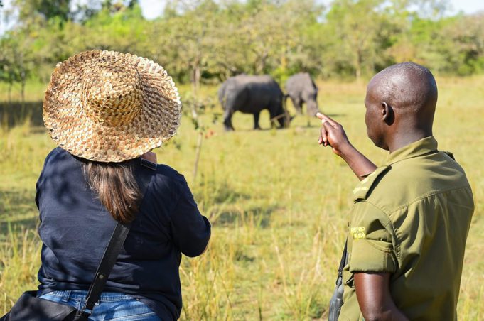 Safety on Uganda Safari